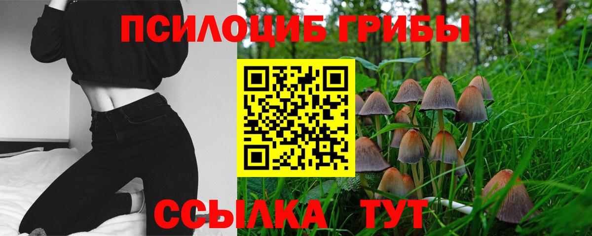 Галлюциногенные грибы мухоморы Россия
