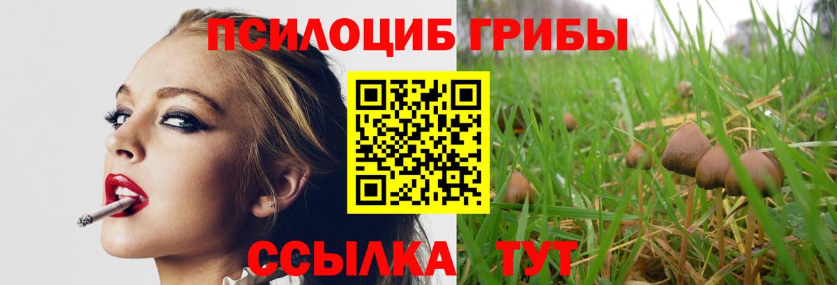 Россия  Галлюциногенные грибы GOLDEN TEACHER  Вход с VPN 